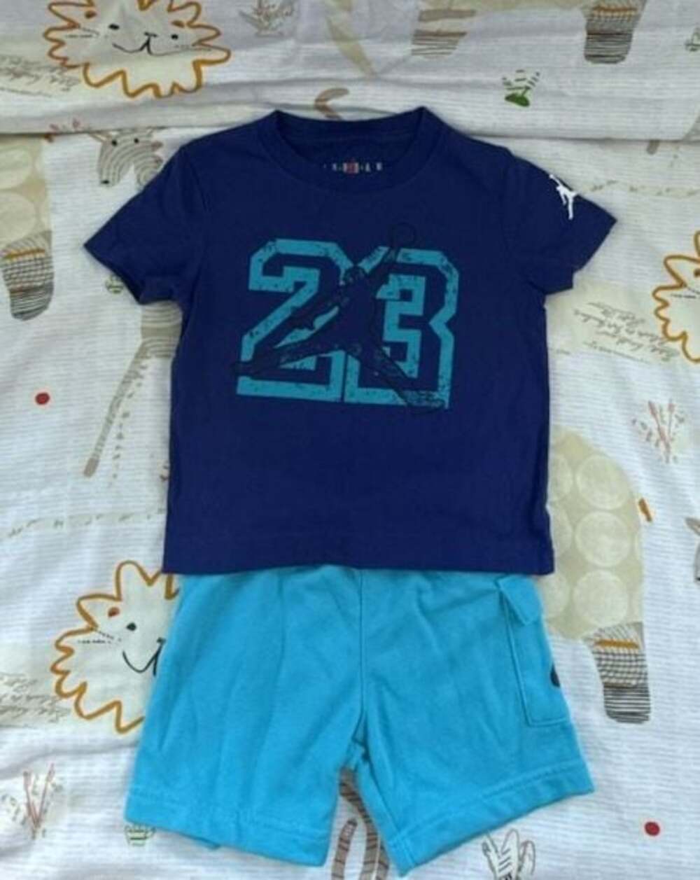 Jordan Boys 23 Graphic T-Shirt and Shorts Outfit Set Size 2T